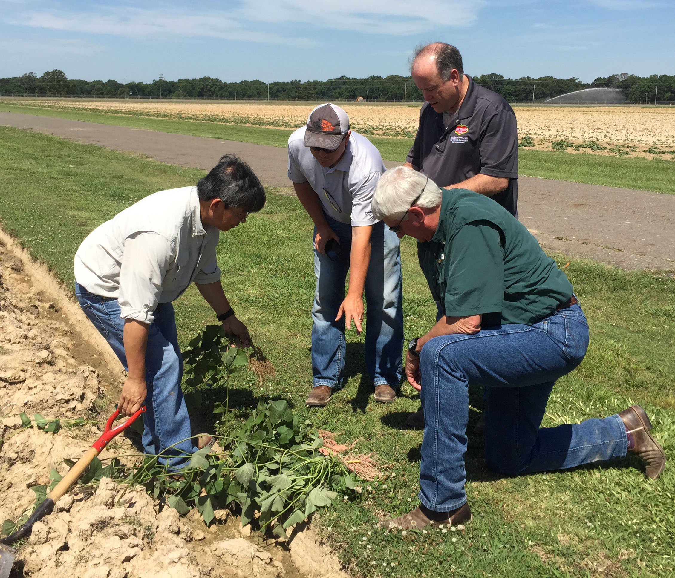 AgCenter News Summer 2016